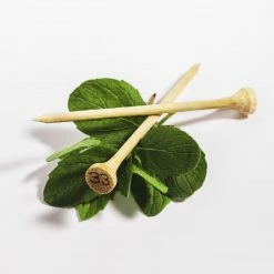 The Number Thirty Three The Original Tee Pick - Wintergreen 7 The Number Thirty Three The Original Tee Pick - Wintergreen -Cheap Golf Hat Store 5011 2F13604371 2Fassets 2Fc825f2f5 211c 4377 af38 5f8a192460f62I5A3112 scaled