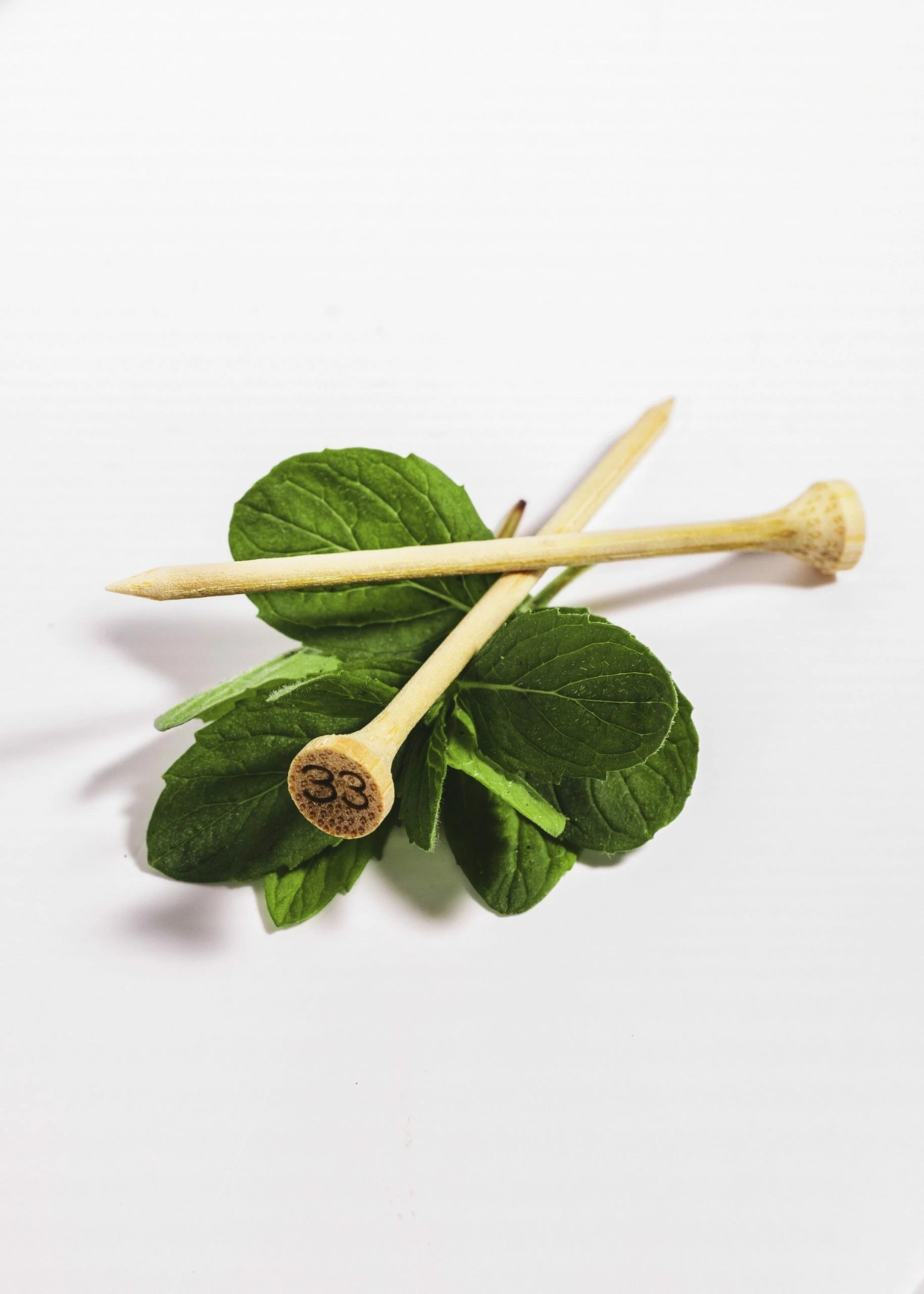 The Number Thirty Three The Original Tee Pick - Wintergreen 4 The Number Thirty Three The Original Tee Pick - Wintergreen - Image 4