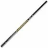 True Temper Dynamic Gold 120 Iron Shaft